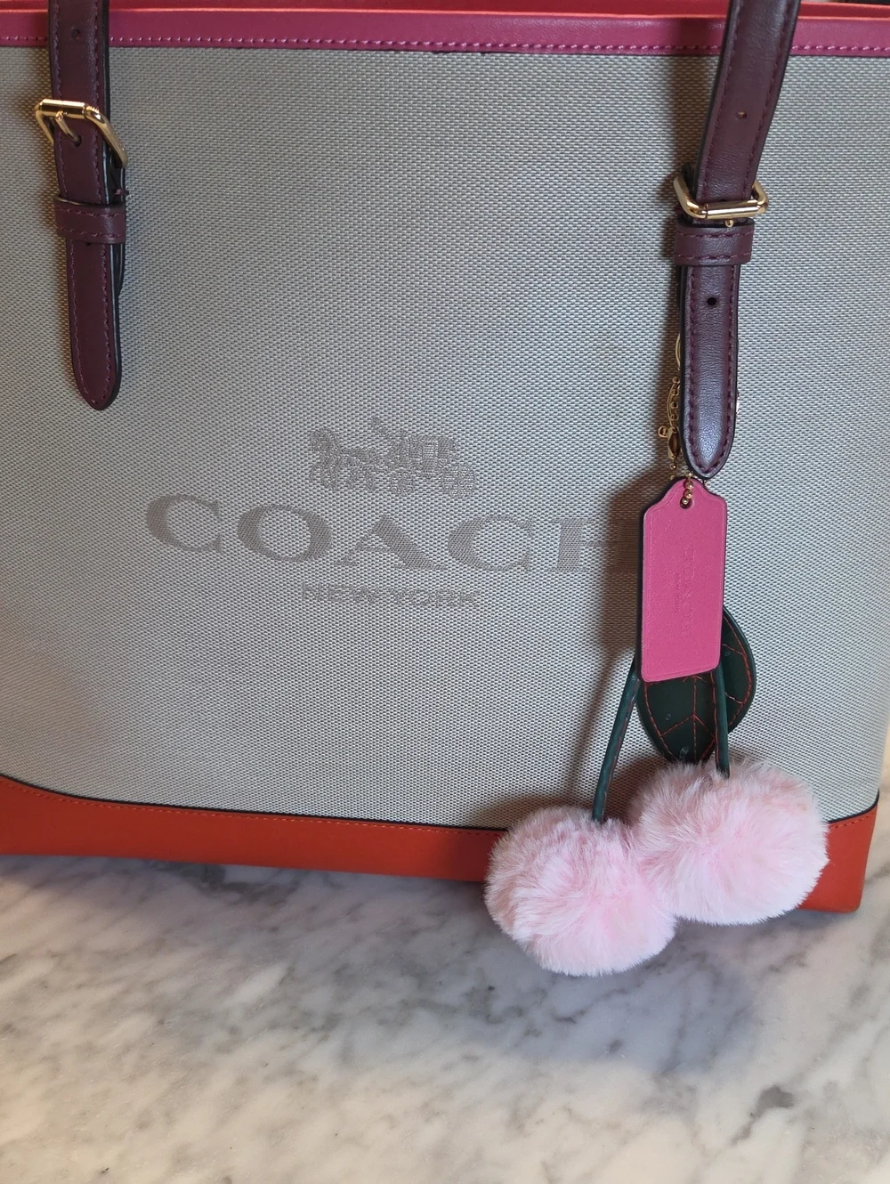 EUC 2021 Coach Molly Canvas Tote with Pink Trim and Burgundy Straps & Card Case